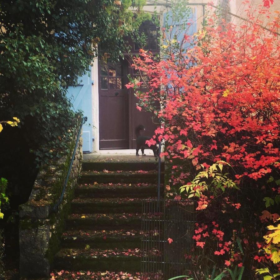 Le 7 Des Tonneliers Bed & Breakfast Castelfranc Exterior foto