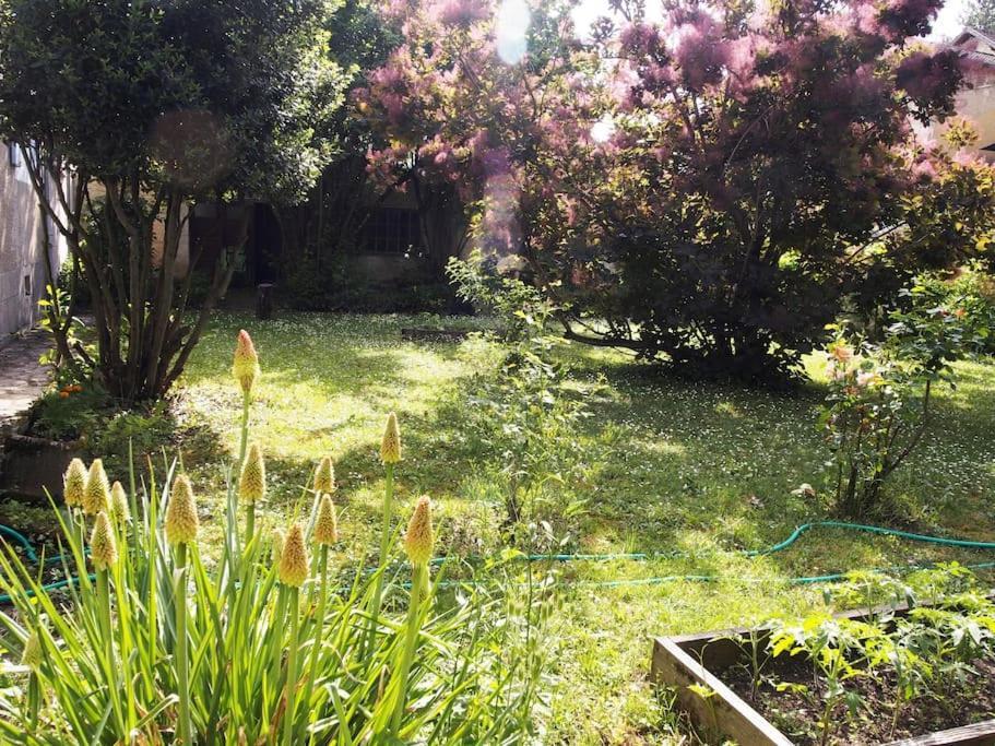 Le 7 Des Tonneliers Bed & Breakfast Castelfranc Exterior foto